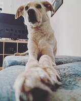 IMG 20230515 102842 593