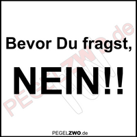 PZWO Bevor du fragst NEIN