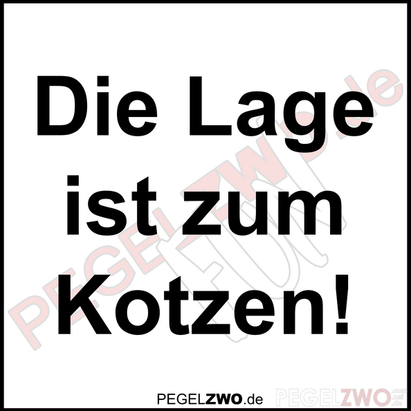 PZWO Die Lage ist zum Kotzen.png
