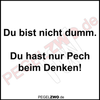 PZWO Du bist nicht dumm