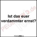 PZWO Euer verdammter ernst