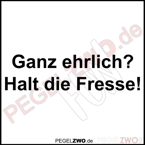 PZWO Halt die Fresse.png
