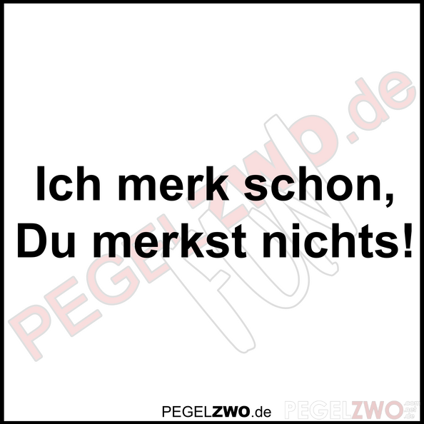 PZWO Ich merk schon du merkst nichts.png