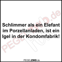 PZWO Igel in Kondomfabrik