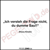 PZWO Kinski Zitat Versteh die Frage nicht