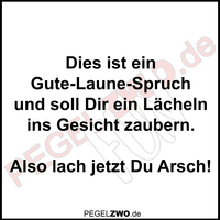 PZWO Lach jetzt Du Arsch