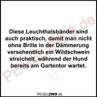 PZWO Leuchthalsbänder