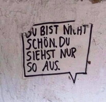 Du bist nicht schön - du siehst nur so aus!